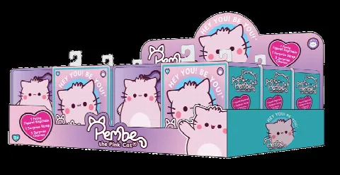 PEMBE MYSTERY BENTO BOX / 40313