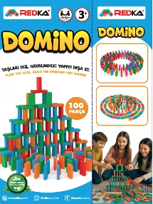 DOMİNO 100 PARÇA