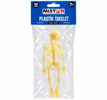 PLASTİK İSKELET 20 cm