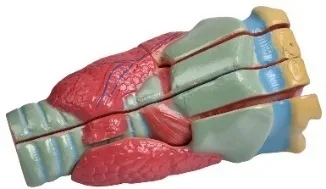 MAKET BOĞAZ MODEL