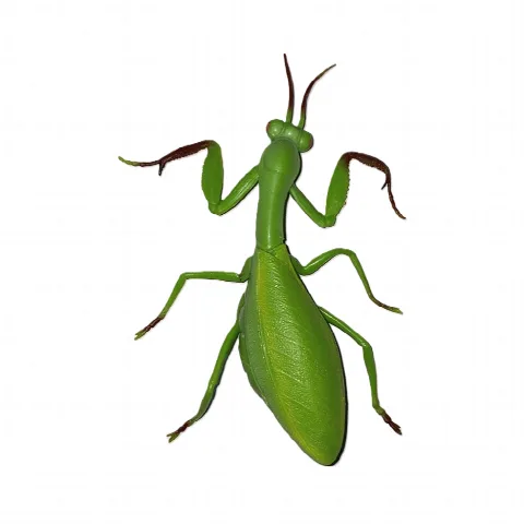 Stretch Çekirge