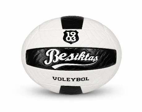 BEŞİKTAŞ VOLEYBOL TOPU POINT