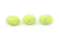 Kaliteli Tenis Topu