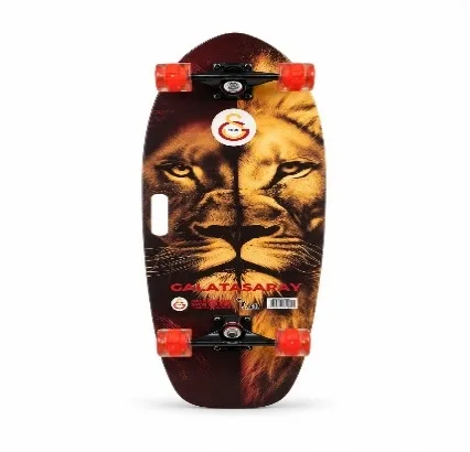 GALATASARAY KAYKAY ASLAN